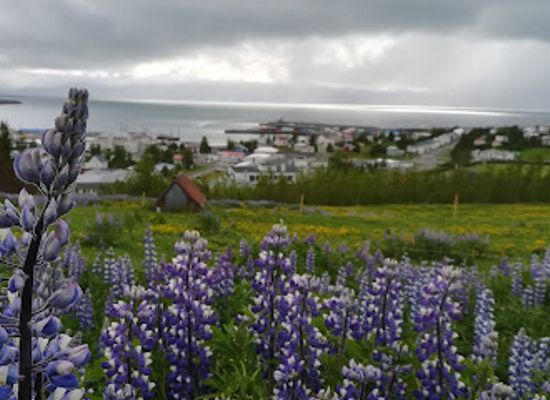 iceland/husavik-area/attraction/skalamelur-husavik