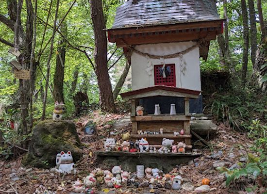 japan/tango/attraction/tashirojima
