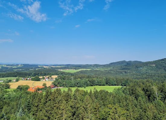 austria/muhlviertel/attraction/baumkronenweg