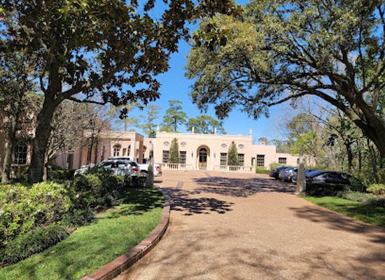 texas/houston/attraction/rienzi-museum-of-fine-arts-houston