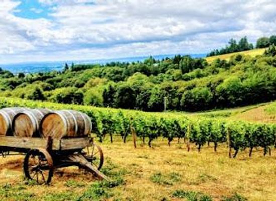 oregon/sherman-county/attraction/willamette-valley-tour