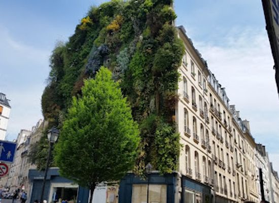 france/ile-de-france/attraction/oasis-d-aboukir