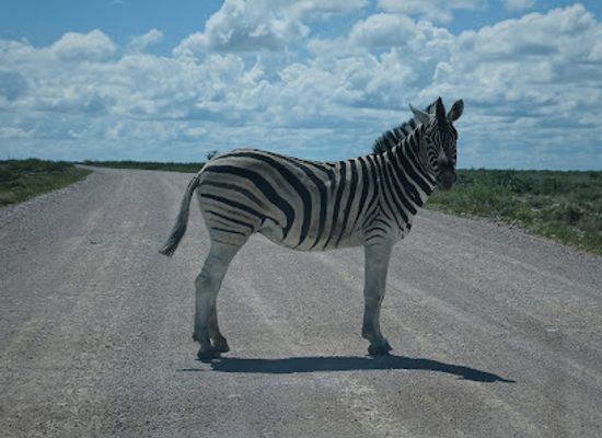 namibia/etosha-village/attraction/tsumcor