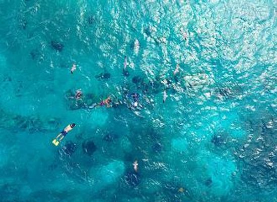 mexico/playa-del-carmen/attraction/stingray-beach-cozumel