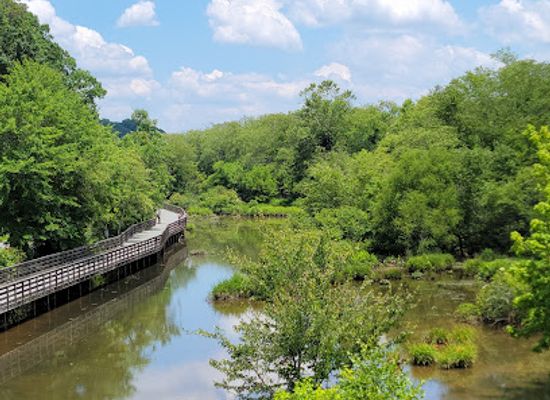 alabama/upland-south/attraction/chattahoochee-nature-center