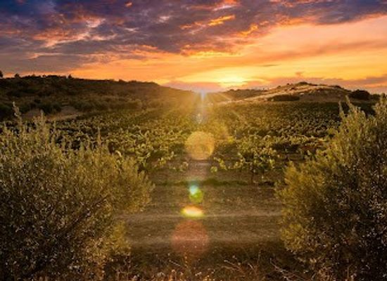 spain/madrid/attraction/senorio-de-val-azul
