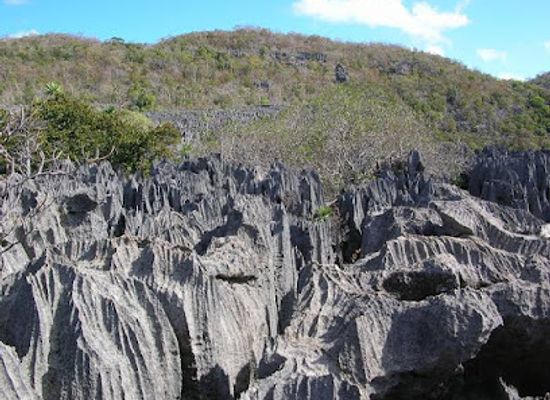 madagascar/boeny/attraction/reserva-kasijy