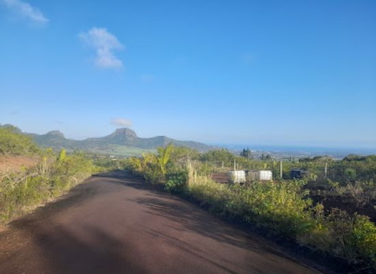 mauritius/flacq/attraction/congmah-village-walk-dendukuri-s