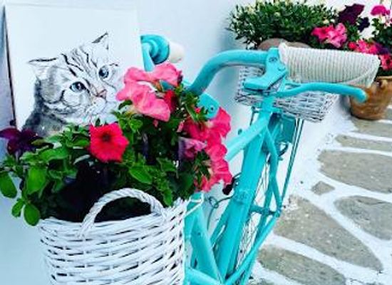 greece/cyclades/attraction/cecelia-art-paros