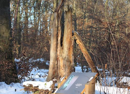 germany/taunus/attraction/kunstwanderweg