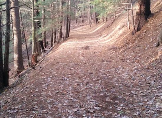 new-york/north-country/attraction/rome-sand-plains-unique-area