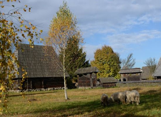 romania/crisana/attraction/maramuresean-village-museum
