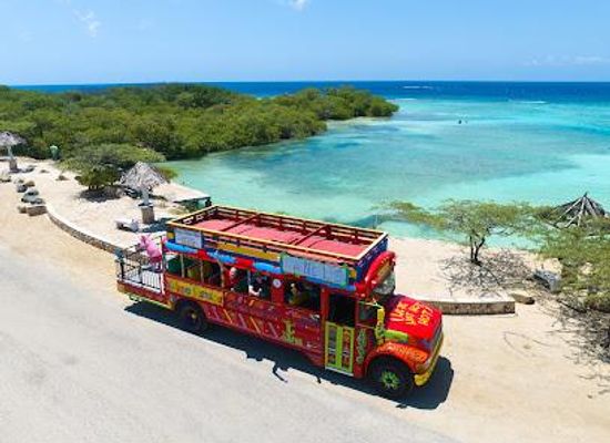 aruba/oranjestad/attraction/kukoo-kunuku