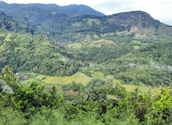 sri-lanka/knuckles-mountain-range/attraction/garadi-ella-view-point