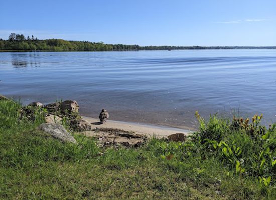 michigan/northern-michigan/attraction/mitchell-state-park