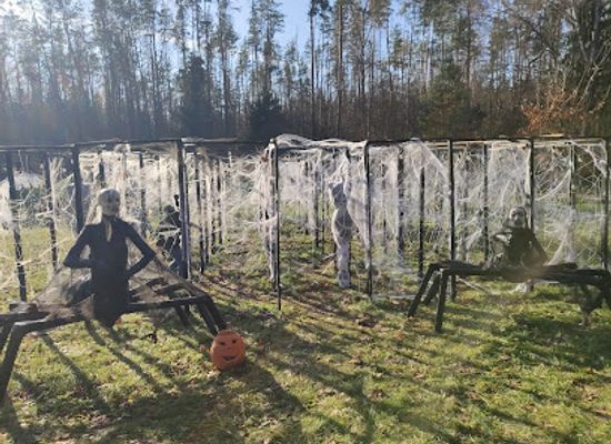 lithuania/anyksciai-treetop-walking-path/attraction/istoriniu-skulpturu-takas