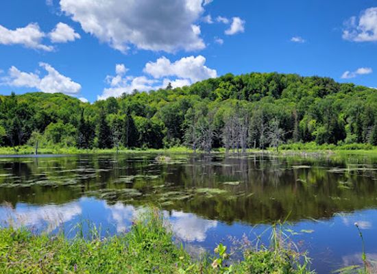 canada/laurentides/attraction/alfred-kelly-nature-reserve