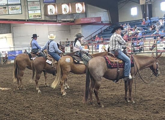 missouri/ozarks/attraction/ozark-mule-days