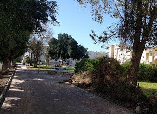 israel/acre/attraction/shazar-garden
