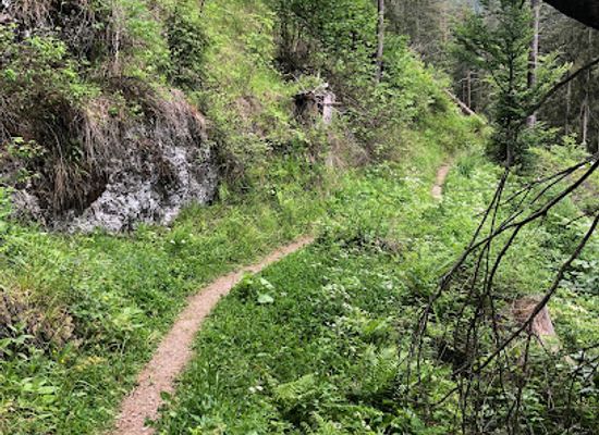 romania/harghita/attraction/cetatea-bufnitelor-bagolyvar