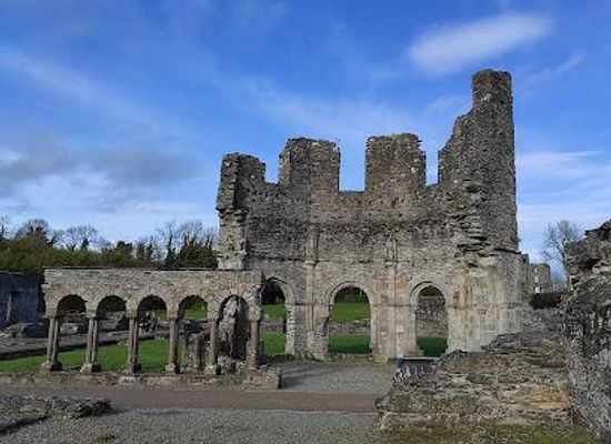 ireland/county-louth/attraction/old-mellifont-abbey