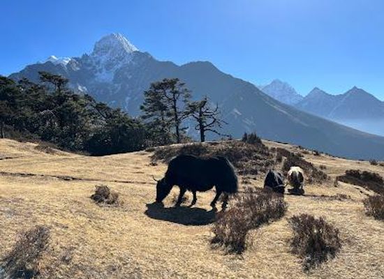 nepal/namche-bazaar/attraction/everest-view-point