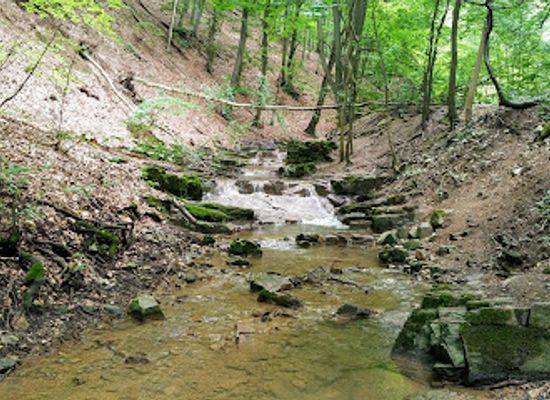 hungary/mecsek/attraction/kelet-mecsek-landscape-protection-area