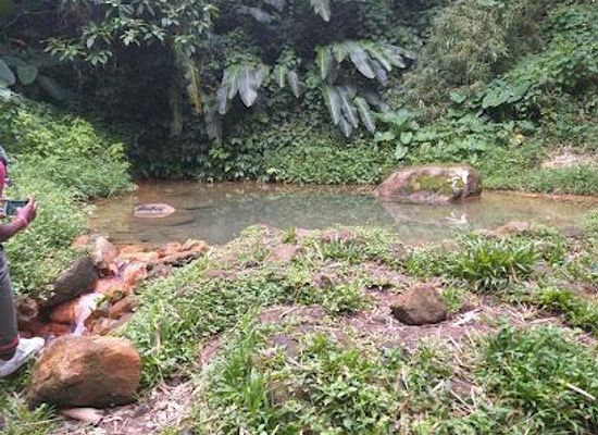 grenada/gouyave/attraction/clabony-sulphur-spring