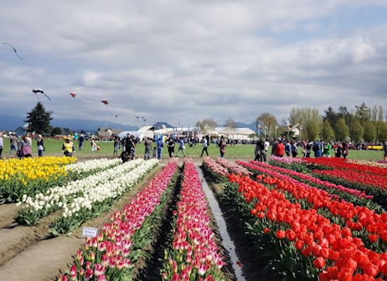 washington/the-skagit-valley/attraction/lions-club-roadside-park