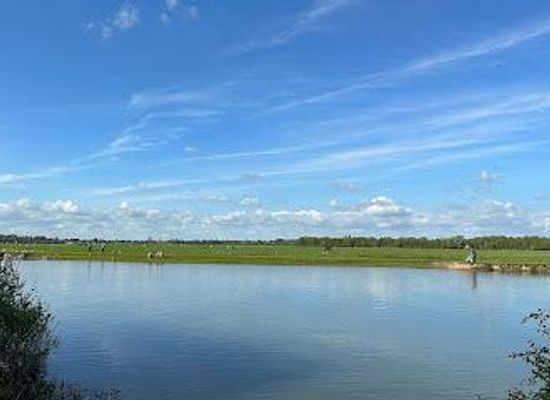 united-kingdom/oxford/attraction/port-meadow