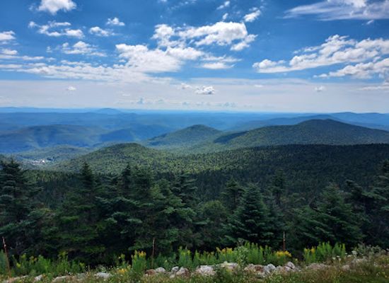 vermont/mount-ascutney-state-park/attraction/gifford-woods-state-park