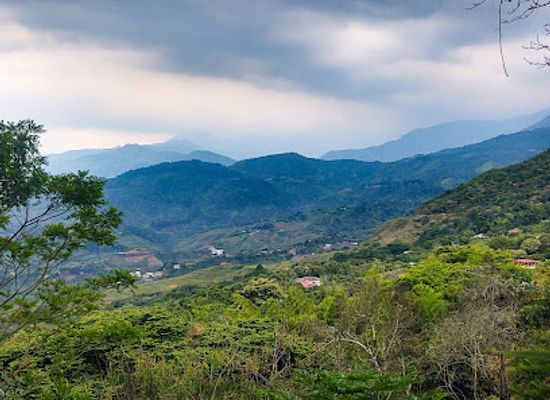 colombia/cauca-valley/attraction/mariposario-andoke