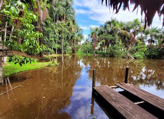 peru/iquitos/punchana/attraction/bosque-de-huayo