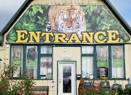 arkansas/northwest-arkansas/attraction/turpentine-creek-wildlife-refuge