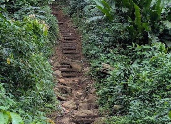 grenada/saint-george/attraction/caribbean-horizons-mcintyre-bros-ltd