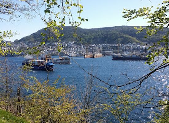 norway/hordaland/attraction/akvariet-i-bergen-the-national-aquarium