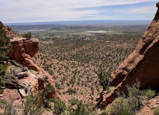 utah/kanab/attraction/bunting-trail-trailhead