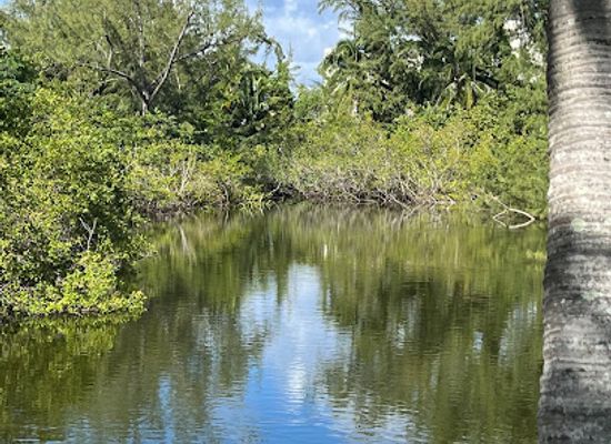 the-bahamas/cat-island/attraction/turtle-point