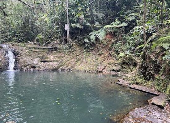 fiji/suva/attraction/colo-i-suva-forest-park
