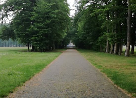 netherlands/veluwe/attraction/de-naald