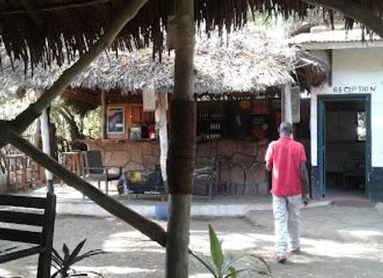 kenya/malindi/attraction/falconry-of-kenya-ltd