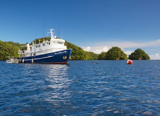 palau/ngeremdiu/attraction/ocean-hunter-palau
