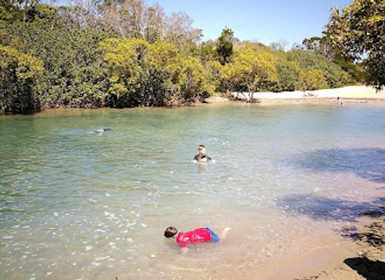 australia/fraser-island/attraction/tooan-tooan-creek