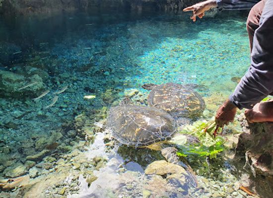 solomon-islands/lata/attraction/aplau