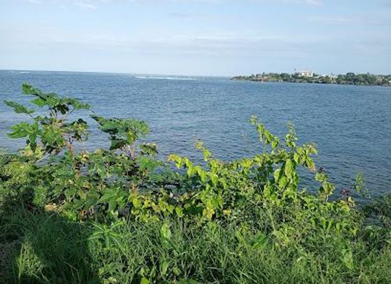 kenya/diani-beach/attraction/mama-ngina-dr