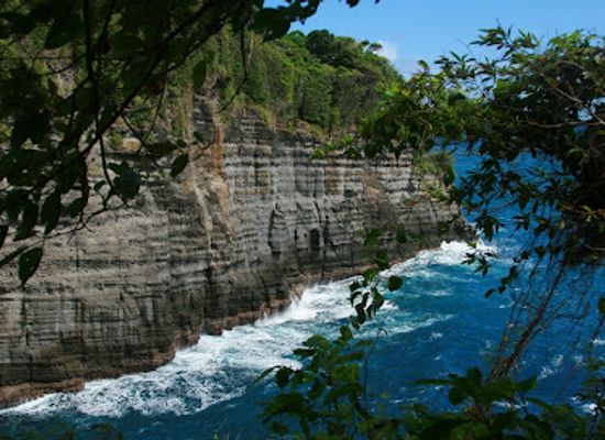 dominica/trafalgar-falls/attraction/glasse-point-trail-view