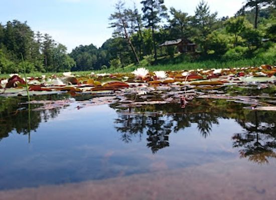 japan/sanuki/attraction/kurozo-marshland