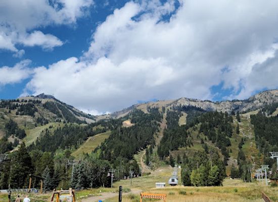 wyoming/bridger-teton-national-forest/attraction/jackson-hole-mountain-resort