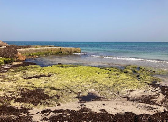 tunisia/djerba-island/attraction/barbara-s-rock