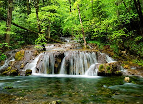 romania/caras-severin/attraction/cheile-nerei-beusnita-national-park